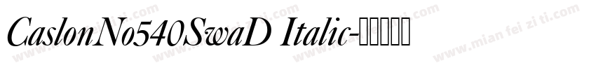 CaslonNo540SwaD Italic字体转换